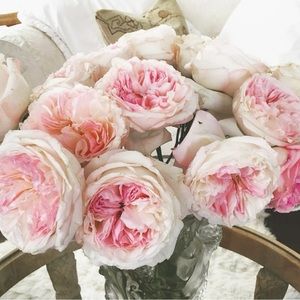 Meet your Posher, Lys